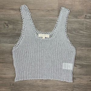 Silver Mesh Crop Top